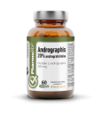 Andrographis 20% andrografolidów 60 kaps Vege | Clean Label Pharmovit