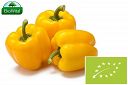 Papryka żółta BIO IMPORT 1 kg
