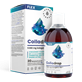 Colladrop Flex, kolagen morski 5000 mg, płyn 500 ml - Aura Herbals